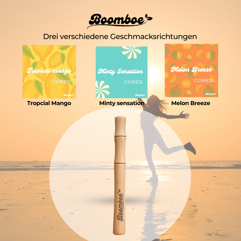 Boomboe Starterpaket